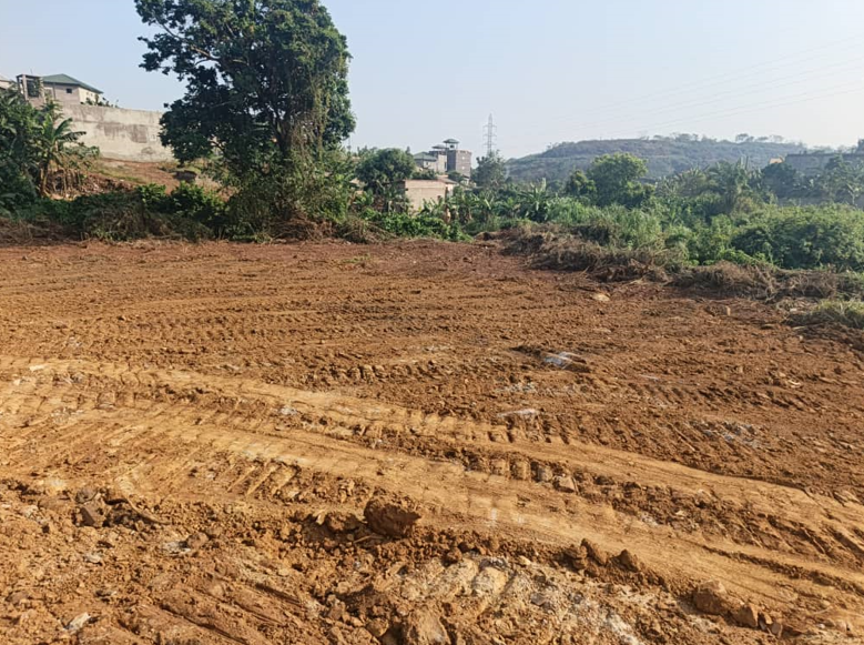 LONGI - KRIBI